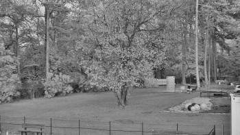 Snímek    29.10.2025 v 17:00