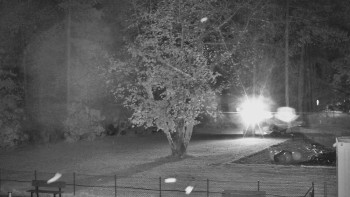 Snímek    29.10.2025 v 20:15