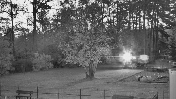 Snímek    30.10.2025 v 06:00