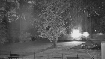 Snímek    31.10.2025 v 05:30