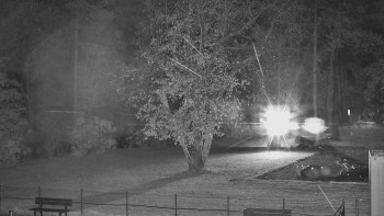 Snímek    31.10.2025 v 23:15