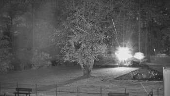 Snímek    1.11.2025 v 05:30