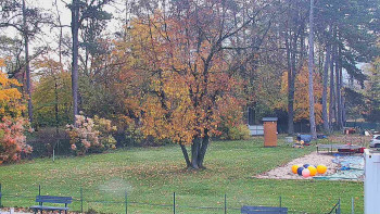 Snímek    1.11.2025 v 07:45