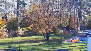 Koupaliště Bystřice pod Hostýnem - Beach volejbal - 1.11.2025 v 09:45 Koupaliště Bystřice pod Hostýnem - Beach volejbal - 1.11.2025 v 09:45