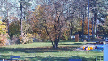 Snímek    1.11.2025 v 11:15