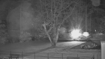 Snímek    2.11.2025 v 21:45