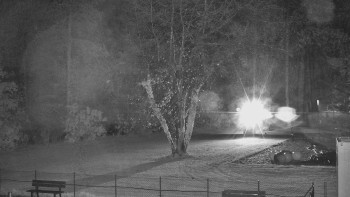 Snímek    3.11.2025 v 01:30