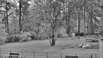 Snímek    3.11.2025 v 16:45