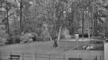 Snímek    3.11.2025 v 17:00