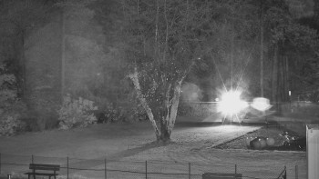 Snímek    4.11.2025 v 01:15