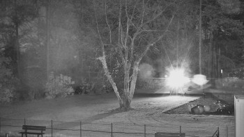 Snímek 5.11.2025 v 05:30