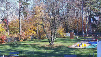 Snímek 5.11.2025 v 13:00