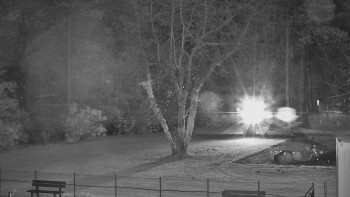 Snímek 6.11.2025 v 00:00