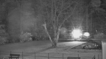 Snímek 6.11.2025 v 00:45