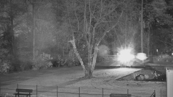 Snímek 6.11.2025 v 05:30