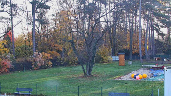 Snímek 6.11.2025 v 07:45