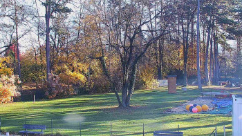 Snímek 6.11.2025 v 09:30