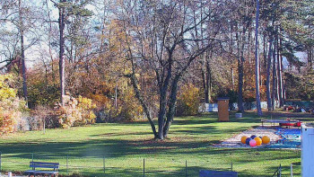 Snímek 6.11.2025 v 11:00