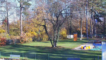 Snímek 6.11.2025 v 13:30