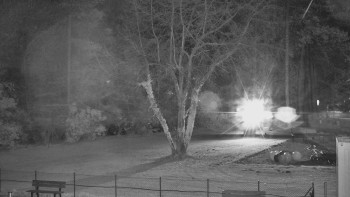 Snímek 7.11.2025 v 00:45