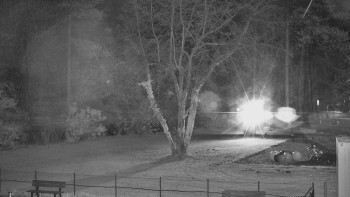 Snímek 7.11.2025 v 02:00