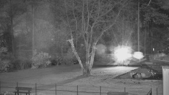 Snímek 7.11.2025 v 05:30