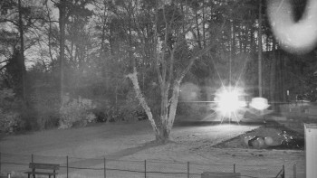 Snímek 7.11.2025 v 05:45