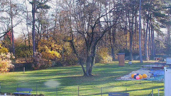 Snímek 7.11.2025 v 09:30