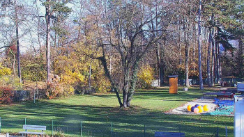 Snímek 7.11.2025 v 13:30