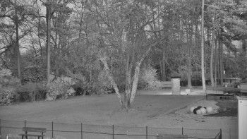 Snímek 7.11.2025 v 17:00