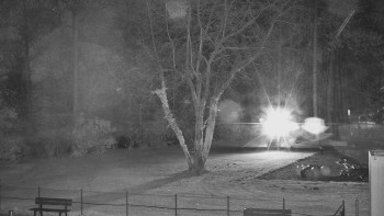 Snímek 7.11.2025 v 20:30