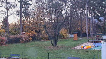 Snímek 8.11.2025 v 06:30