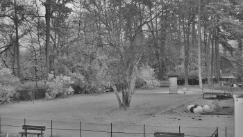 Snímek 8.11.2025 v 16:45