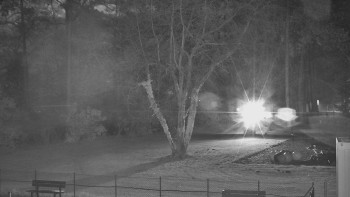 Snímek 8.11.2025 v 20:45