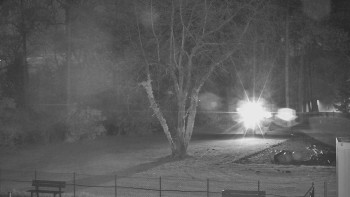 Snímek 8.11.2025 v 21:15