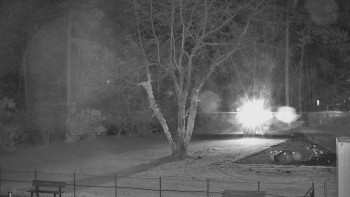 Snímek 9.11.2025 v 22:15