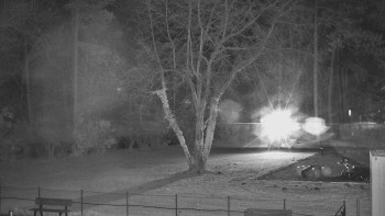 Snímek 14.11.2025 v 01:15