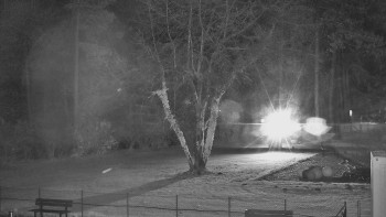 Snímek 18.11.2025 v 05:45