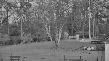 Snímek 18.11.2025 v 16:45