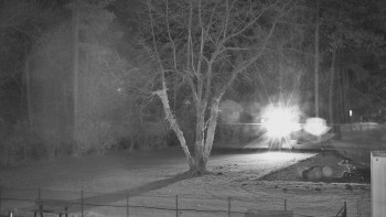 Snímek 18.11.2025 v 22:45