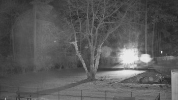 Snímek 19.11.2025 v 00:30