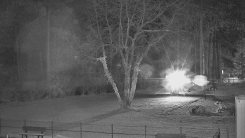 Snímek 23.11.2025 v 20:00