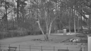 Koupaliště Bystřice pod Hostýnem - Beach volejbal - 21.12.2025 v 16:30 Koupaliště Bystřice pod Hostýnem - Beach volejbal - 21.12.2025 v 16:30