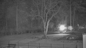 Koupaliště Bystřice pod Hostýnem - Beach volejbal - 4.3.2026 v 04:45 Koupaliště Bystřice pod Hostýnem - Beach volejbal - 4.3.2026 v 04:45