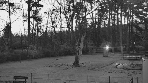 Koupaliště Bystřice pod Hostýnem - Beach volejbal - 9.3.2026 v 05:45 Koupaliště Bystřice pod Hostýnem - Beach volejbal - 9.3.2026 v 05:45