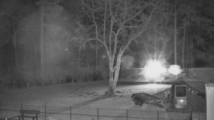 Koupaliště Bystřice pod Hostýnem - Beach volejbal - 9.3.2026 v 19:45 Koupaliště Bystřice pod Hostýnem - Beach volejbal - 9.3.2026 v 19:45