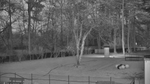 Koupaliště Bystřice pod Hostýnem - Beach volejbal - 21.3.2026 v 18:45 Koupaliště Bystřice pod Hostýnem - Beach volejbal - 21.3.2026 v 18:45