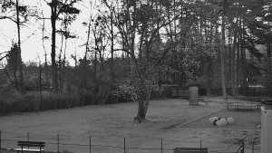 Koupaliště Bystřice pod Hostýnem - Beach volejbal - 5.4.2026 v 05:45 Koupaliště Bystřice pod Hostýnem - Beach volejbal - 5.4.2026 v 05:45