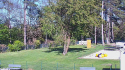 Beach volejbal