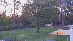 Beach volejbal